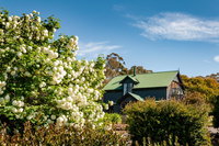 Book Lymington Accommodation Vacations Darwin Tourism Darwin Tourism