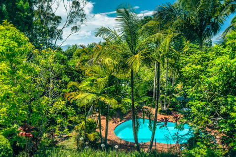 Bella Vista Bellingen - Darwin Tourism 1