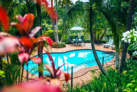 Bella Vista Bellingen - Darwin Tourism 0