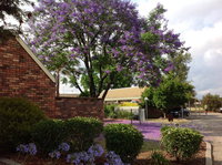 Belvoir Village Motel  Apartments Wodonga
