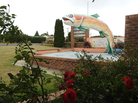 Big Trout Motel - Darwin Tourism 0