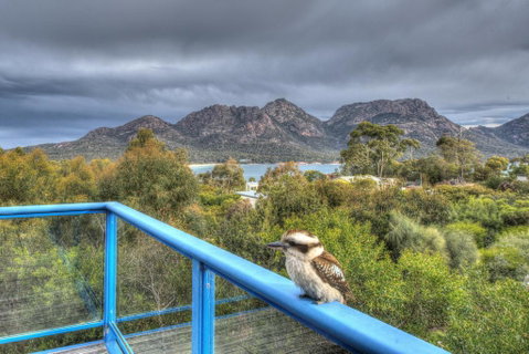 Blue Gum Retreat - Darwin Tourism 2