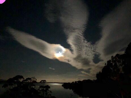 Blue Waters Holiday Cottages - Darwin Tourism 2