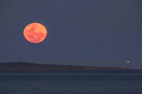 Blue Waters Holiday Cottages - Darwin Tourism 1