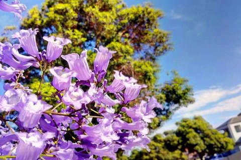 Big Perth (Private) Day Tour - Darwin Tourism 3