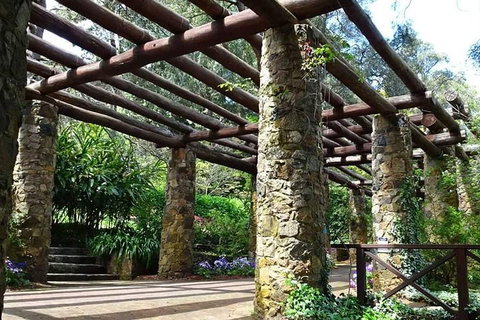 Spring Wildflower (Private) Day Tours - Darwin Tourism 2