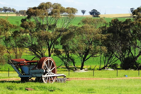Spring Wildflower (Private) Day Tours - Darwin Tourism 4