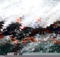 Cruise in Moreton Bay Marine Park and Moreton Island - Darwin Tourism