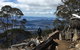Kunanyi/Mt Wellington Explorer Bus - One Way Tour - thumb 2