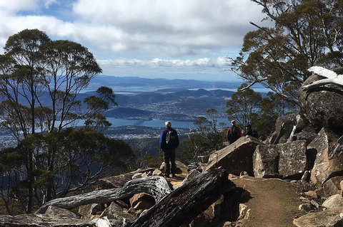 Kunanyi/Mt Wellington Explorer Bus - One Way Tour - Darwin Tourism 2