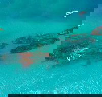 Private Tangalooma Wrecks Tour - Darwin Tourism