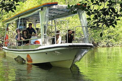 5-Day Best Of Cairns With Daintree, Kuranda, And Great Barrier Reef - Darwin Tourism 1