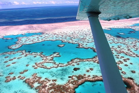 8-Day Cairns Tour: Great Barrier Reef, Kuranda, Daintree Rainforest - Darwin Tourism 2