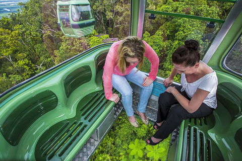 8-Day Cairns Tour: Great Barrier Reef, Kuranda, Daintree Rainforest - Darwin Tourism 3