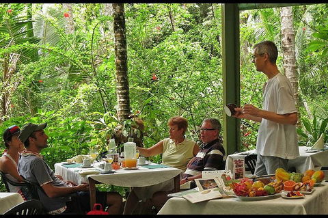 8-Day Cairns Tour: Great Barrier Reef, Kuranda, Daintree Rainforest - Darwin Tourism 4