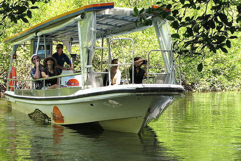 8-Day Cairns Tour: Great Barrier Reef, Kuranda, Daintree Rainforest - Darwin Tourism 5