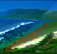 Cairns Reef and Rainforest Combo Daintree Rainforest and the Great Barrier Reef - Darwin Tourism