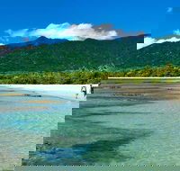 Private Daintree National Park Day Tour from Cairns Including Cape Tribulation and Mossman Gorge - Darwin Tourism