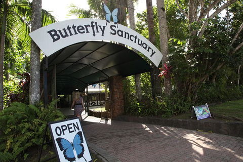 Kuranda Day Trip From Port Douglas Upgrade To Skyrail & Scenic Train Available - Darwin Tourism 0