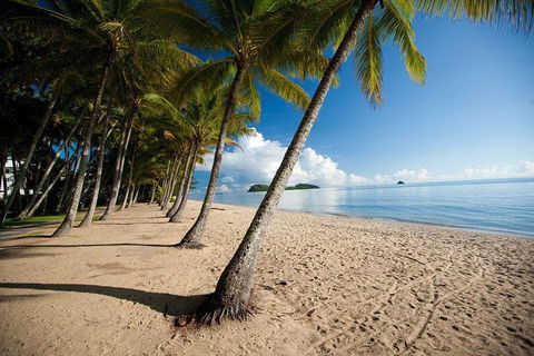 Kuranda Day Trip From Port Douglas Upgrade To Skyrail & Scenic Train Available - Darwin Tourism 1