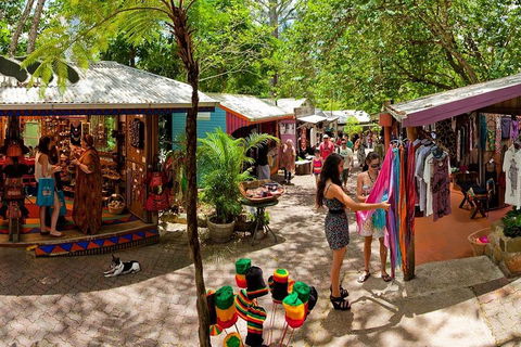 Kuranda Day Trip From Port Douglas Upgrade To Skyrail & Scenic Train Available - Darwin Tourism 2