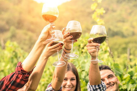 McLaren Vale Luxury Wine Tour - Darwin Tourism 2