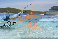 Book Viator Accommodation Vacations Darwin Tourism Darwin Tourism