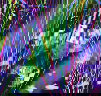 Infinity Attraction - Admission - Darwin Tourism