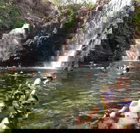 Litchfield National Park and Jumping Crocodile Cruise - Darwin Tourism