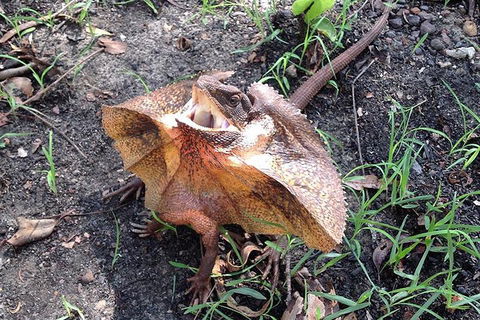 Litchfield National Park And Jumping Crocodile Cruise - Darwin Tourism 1