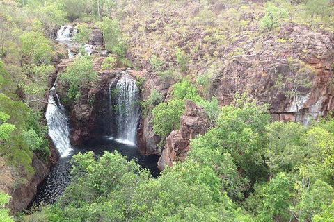 Litchfield National Park And Jumping Crocodile Cruise - Darwin Tourism 4