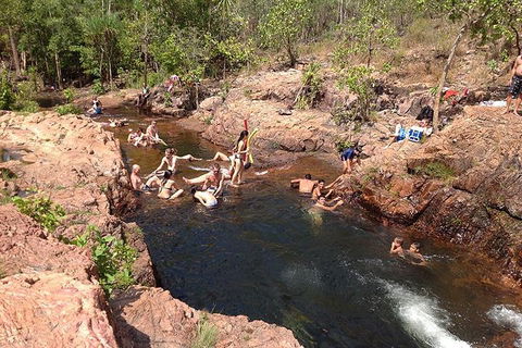Litchfield National Park And Jumping Crocodile Cruise - Darwin Tourism 5