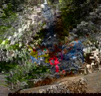 5-Day Lap of Tasmania Tour from Hobart flexible ticket