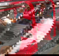 Full-Day Private Blue Mountains Tour with River Cruise - Darwin Tourism