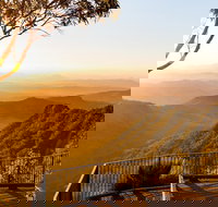 O'Reilly's  Lamington National Park incl. Alpaca Farm  Vineyard - Darwin Tourism