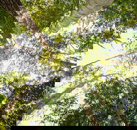 Fraser Island 4WD Tour from Noosa - Darwin Tourism