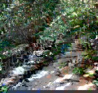 Fraser Island 4WD Tour from Rainbow Beach - Darwin Tourism