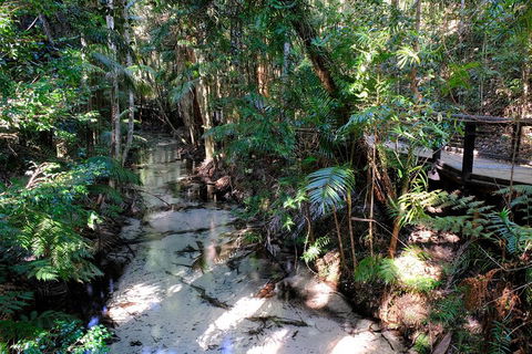 Fraser Island 4WD Tour From Rainbow Beach - Darwin Tourism 0