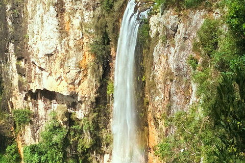 Natural Arch, Rainforest & Volcano Canyon - Private Half Day Tour - Darwin Tourism 2