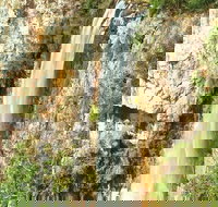 Private Tour - Rainforest  Waterfalls Extravaganza - Darwin Tourism