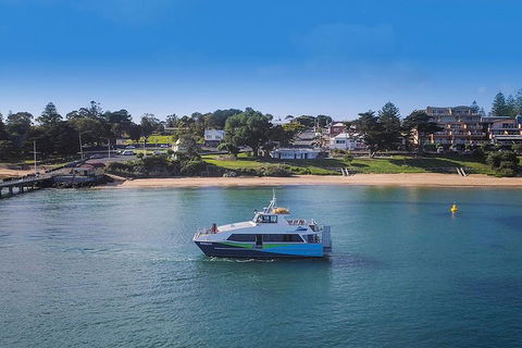 Phillip Island And French Island Wildlife Expedition - Darwin Tourism 2