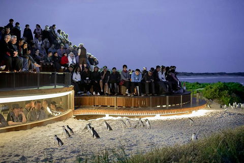 Phillip Island And French Island Wildlife Expedition - Darwin Tourism 5