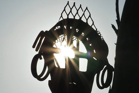 Wave Rock, Wild Flowers And Astro Photography - Darwin Tourism 4