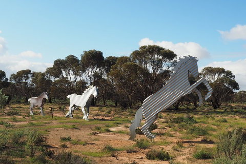 Wave Rock, Wild Flowers And Astro Photography - Darwin Tourism 5