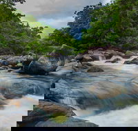Cape Tribulation Day Tour - Darwin Tourism