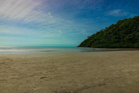 Cape Tribulation Day Tour - Darwin Tourism 2