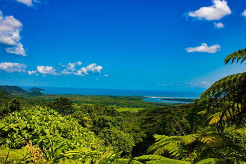 Cape Tribulation Day Tour - Darwin Tourism 3