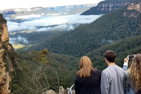 Blue Mountains Private Tour - Wild Kangaroos, Waterfalls And The Three Sisters - Darwin Tourism 3