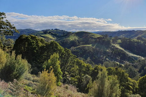 3-Day Adelaide To Melbourne Tour Including The Great Ocean Road - Darwin Tourism 5