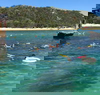 All Inclusive Dolphin and Tangalooma Wrecks Cruise - Darwin Tourism